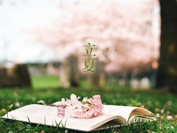 工具柜廠家天金岡告訴你立夏除了稱體重、吃蛋，還有哪些好玩的風俗？